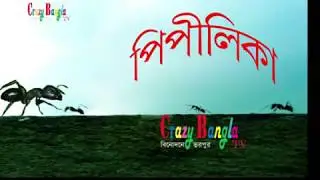 পিঁপড়ার অসাধারন এই সংঘবদ্ধতা | Pipilika | পিপীলিকা | Abu Musa HD