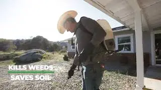 FireHawk BioHerbicide Making It's Mark