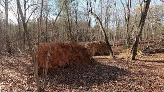 Rock Ridge Park