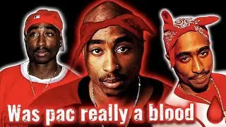 2pac was a blood and he did get his put on in Compton 