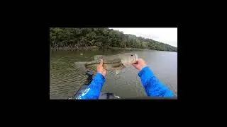 20 minute 20lb bag on center hill lake! 
