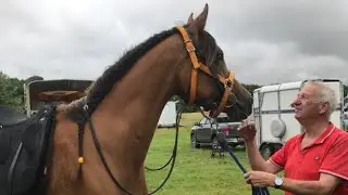 Bedale Hunt Fun Ride. Farouk is more than ready for this 14km ride 🏇🏼 at West Tanfield N. Yorks