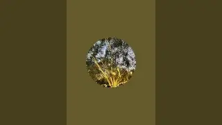 FUNNY TIMER ⏳ is live