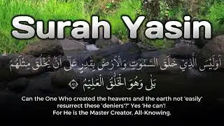 Surah Yasin Quran | Healing and Peace and Comforting Calm
