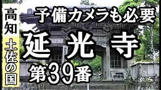 金剛福寺➡延光寺ドライブお参り【第39番札所 四国八十八ヶ所巡礼】4/8日通しお遍路車モデルコース