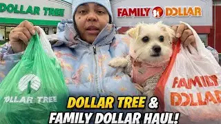 🔥 &ldquo;I Shopped at Family Dollar & Dollar Tree So You Don&rsquo;t Have To 😳&rdquo;