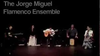 Jorge Miguel Flamenco - Siguiriyas