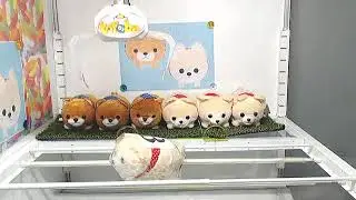 Toreba.net Win No.2