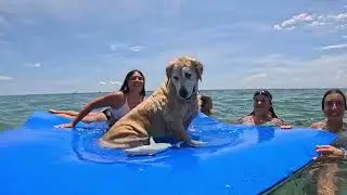 Sandbar with CruZ&rsquo;N Chill Private boat tours Capt John (954) 234-3772 cruznchill.com #pompanobeach