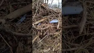 Plastic detritus, ravaging holy waters, a choice our world this time 🙏🙏🙏