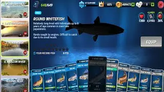 New Round Whitefish - Fishing Clash Gameplay Ep121