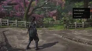Assassin's Creed5