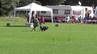 LM THS HSVRM 2014 VdH Hettenrodt Slalom 2 Lisa mit Indiana