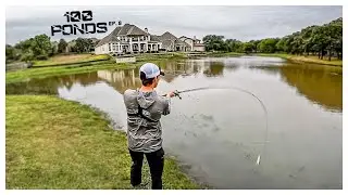Catching FISH In A DIRTY Neighborhood FISHING POND! (100 Ponds Ep. 8)