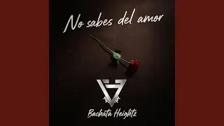 No Sabes Del Amor