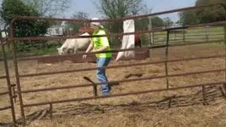 Farming issues