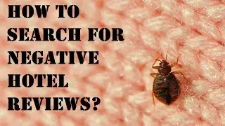 How to search and import negative hotel reviews on a specific subject (example: bug, roach)