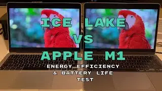 Ice Lake vs Apple M1: Energy Efficiency