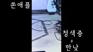 쏜애플 청색증 + 한낮 밴드커버