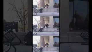 360 Flip by Ross Trottier, as seen in Ritual III | Colorado Skateboarding | Ritual Skateboards
