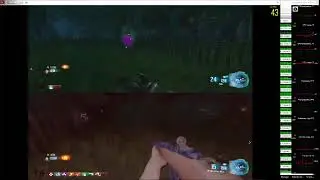 Hex Live Stream