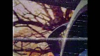 you're safe now. | lofi chill beat