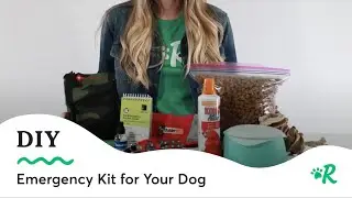 Essential Dog Emergency Kit Guide | Rover Pet Preparedness Tips