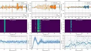 Plasmatree Pitch P tuning 10 to 44