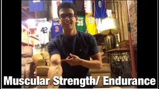 Muscular Strength/Endurance Phys. Ed. Exercises