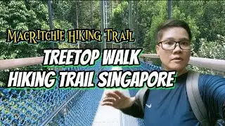 Treetop Walk MacRitchie Hiking Trail Singapore|#explore Tree Top