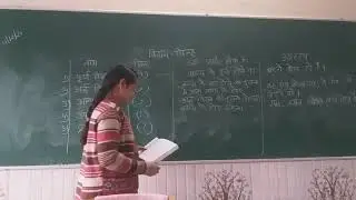 viram chinha