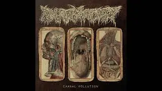 Pharmacist   Carnal Pollution [Full EP  Death Metal] HQ