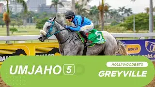 20260107 isiZulu Hollywoodbets Greyville Race 5 won by AXIS POWER