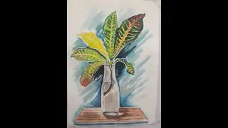 Object Drawing (drawing croton leaves)
