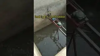 Small egg tray plant installation site with capacity of 3500pcs/h