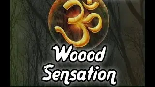 Tranonica Live at MSC Konstanz/Germany - Woood Sensation - NEW YEAR 2014/15