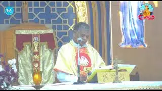 🔻 LIVE MASS || വേളാങ്കണ്ണി പള്ളിയിൽ നിന്ന് മലയാളം ദിവ്യബലി തത്സമയം || (MON to SAT 9 AM)