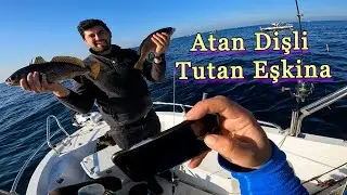 Tekneden Jig İle Lüfe Çinekop Balık Avı