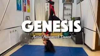 Genesis  Ruelle Intermediate hammock choreography The aerial besties
