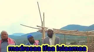 Kun daawwannaa madrasaa ifaa islaamaa ti &hearts;️ magaalaa ciro 
