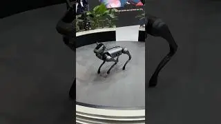 Insane AI Robotic Dog! TECNO Dynamic 1