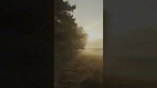 🍃 Deep Relaxation with Natural Sounds | Stress Relief  #relax #rain #nature #shorts  #love #dreams