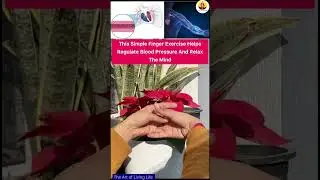 This Simple Finger Exercise Helps Regulate Blood Pressure And Relax The Mind do it for 5 min daily