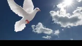 Ninine - Une voix ce fit entendre dans le ciel (Une voix ce fit entendre dans le ciel)