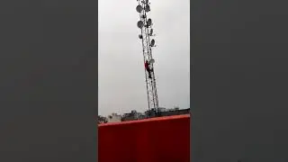 Man climbing on Mobile Tower without any Security #shorts #trending #dogtraining #doglover