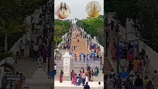 Velankanni Miracle #prayer  #tamilnadu #india ☦️ #subscribe #shortvideo #ytshort ⛪💟