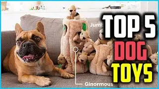 ✅5 Best Dog Toys Reviewed in 2024