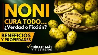 FRUTA NONI: 6 Beneficios Poderosos para tu Salud | Propiedades y Usos Medicinales