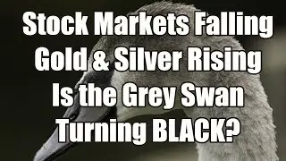 Stock Markets Fall, Gold & Silver Rise &ndash; Is The Grey Swan Turning Black?