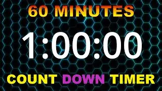 60 Minute Count Down Timer With Alarm